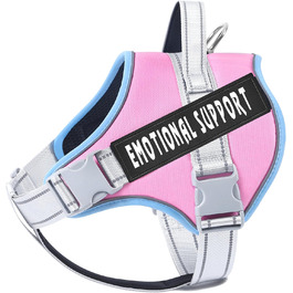 колір: блау_роса