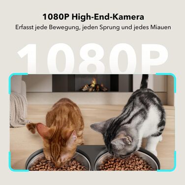 Автоматична годівниця для котів PETLIBRO 5 л з 1080P камерою, Wi-Fi 5G, додатком, нічним баченням, сигналом руху та звуку, для сухого корму, підходить для кількох домашніх тварин