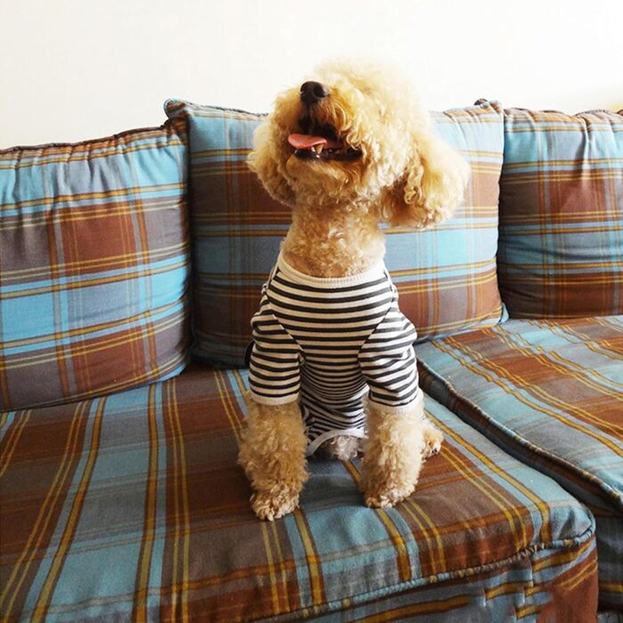 Захисний боді для собак після операції Kukater: захист ран, алергії, линька (XL, чорно-білі смуги)