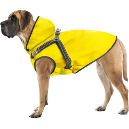 колір: жовтий