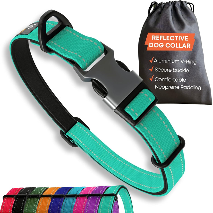 Нашийник для собак середнього розміру, світловідбиваючий, з підкладкою, регульований, металева застібка, кільце з алюмінію, колір Dreamy Aqua