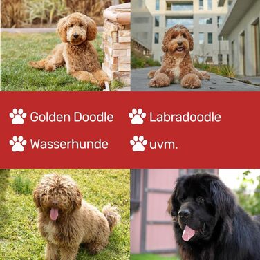 Професійна шерсть для собак EHASO Revolution Two Step | Ліва рука | 21 см | 28 зубців | Шерсть для грумінгу з Solingen