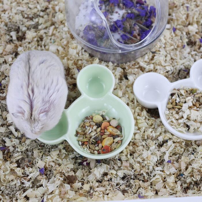 Миска для їжі та води для хом'яків LuckyOpt, мила форма мишки, кераміка, легко миється, підходить для морських свинок, їжаків, білок, гризунів, цукрових посвистів (фіолетовий, зелений)