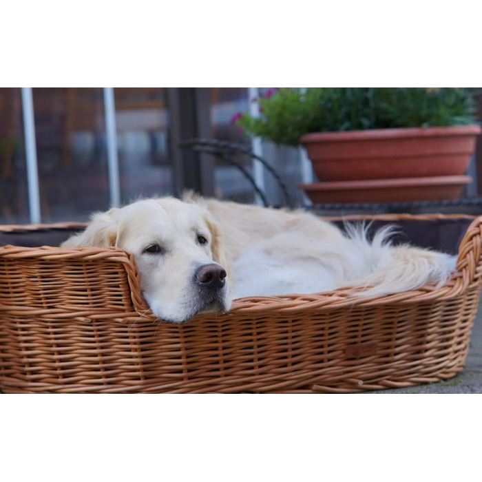 Корзина для собак та котів з плетеної лози з подушкою, 60x43x16 см