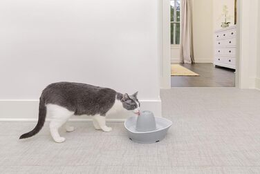 Керамічний фонтан PetSafe Streamside для котів і малих собак, безшумний, 1,8 л