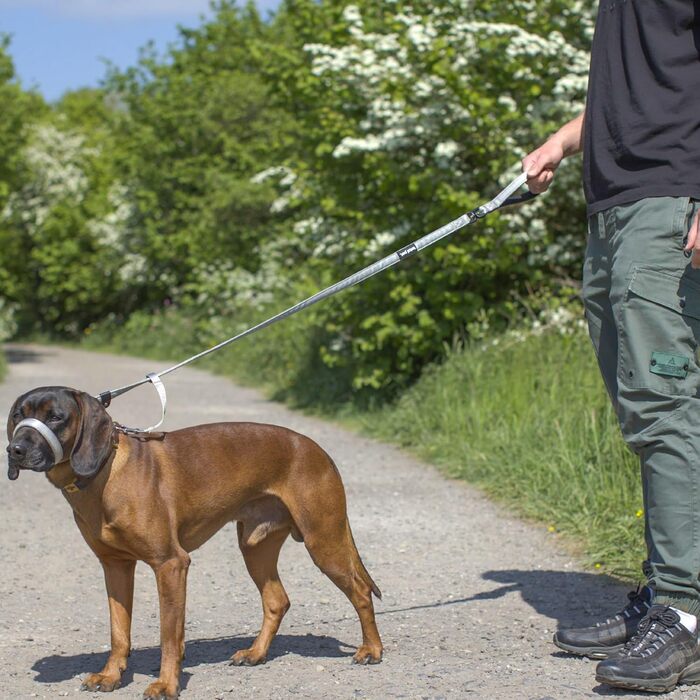 Повідок Total Pet Figur 8 для собак, плоский, з антизаплутуючим механізмом, функцією анти-тягнення, відбивною стрічкою та м'якою нашийною підкладкою, 210 см