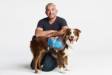 Рюкзак для тварин Cesar Millan Blue & Grey