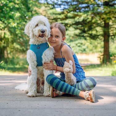 Шлея Nobby Mesh Reflect червона, ширина 20 мм, довжина 58-69 см + 54 см, розмір L, світловідбивна