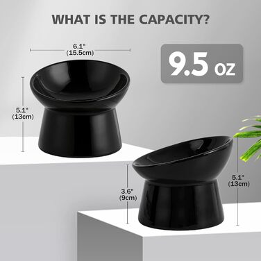Котло propositions: Keramічний годівниця для котів з підняттям - запобігання блювоті, 15° нахил, 280 мл, білий