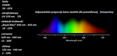 LED-освітлення для акваріума 80 см, трубка — spektrum II