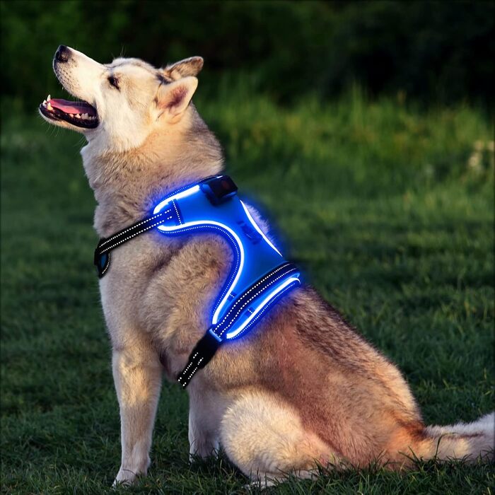 Світлодіодна шлейка для собак з LED-підсвічуванням, перезаряджувана, RGB, блакитна, XS