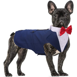 Костюм для собаки QBLEEV: елегантний смокінг з відстібним коміром, краватка, для свят, повсякденного носіння, 5 розмірів, синій