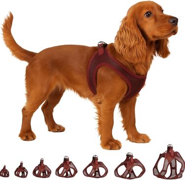 Шлейка для собак середнього розміру Flamingo Step&Go Bento (фіолетовий, M)