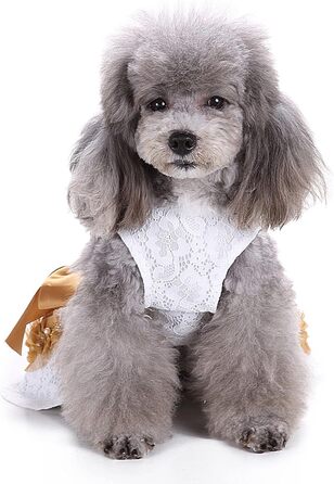 Сукня для собак LifeWheel: елегантний наряд для маленьких та середніх собак, цуценят. Сукня принцеси з мереживом, тепла, для святкування (Halloween, Різдво, весілля) - білий колір.