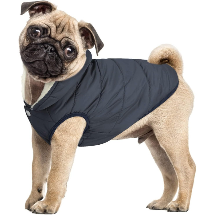 Зимовий теплий водонепроникний одяг для собак - куртка з флісу для малих порід (M, блакитний)
