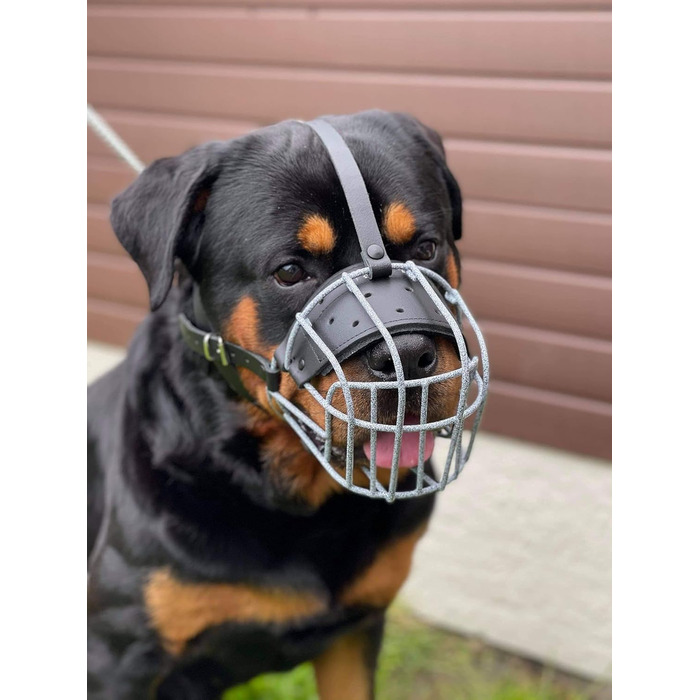Міцний нашийник-маска для собак з дротяної сітки, Rottweiler, Mastiff, Golden Retriever та інші (шкіряний, чорний, R4)