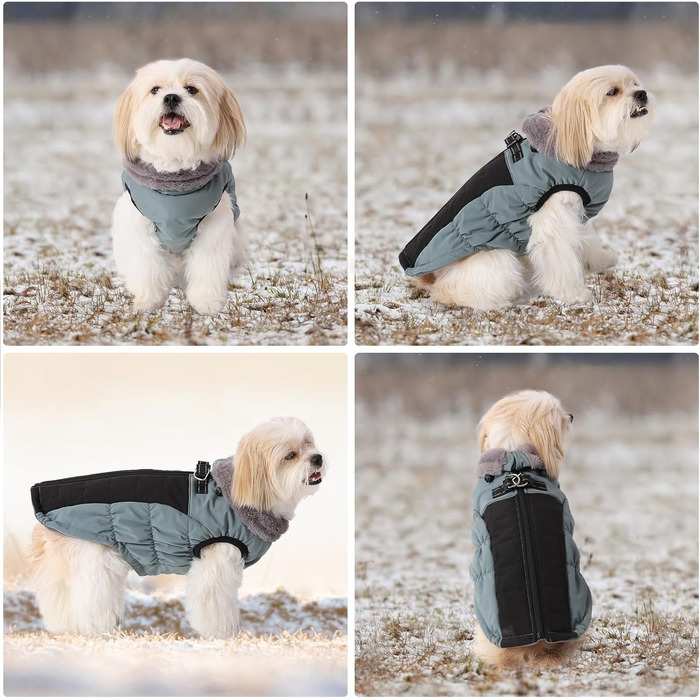 Тепла зимова жилетка для собак Savlot з D-кільцем, бавовна, розмір M, блакитна