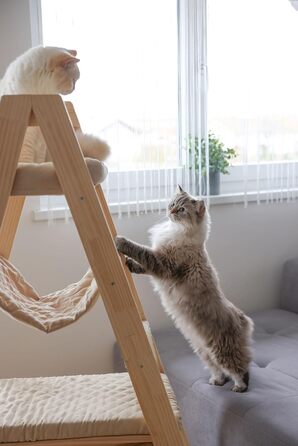 Дерев'яний котячий комплекс Kerbl Pet з драбиною, бежевий, 97x35x34 см, з сизалю та велюру