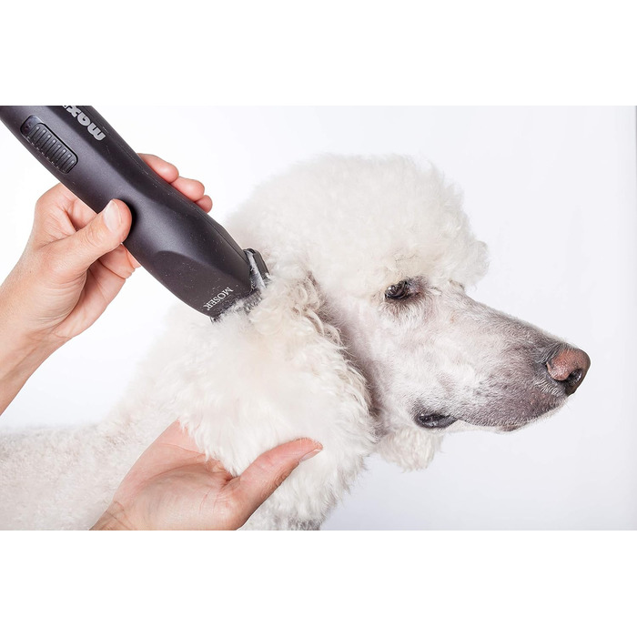 Машинка для стрижки волосся Rotschopf24 MAX 50+ з 2 насадками та сумкою. 2 швидкості. Потужніша та краща за Moser Max 50.