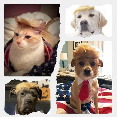 Блондин для домашніх тварин з бантиком: Іконічна та кумедна шапочка Tupemütze, косплей-одяг, костюм, аксесуари на Хелловін (червона краватка, L)