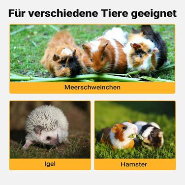 Клітка для тварин Wiltec 3-ярусна, 600x400x800 мм, дерев'яна, з відкидним верхом та оглядовим вікном, для мишей, хом'яків, 600 x 400 x 800 мм