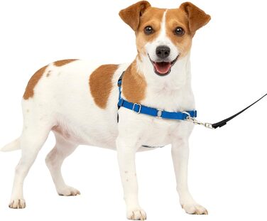 Шлея для собак PetSafe Easy Walk, анатомічна
