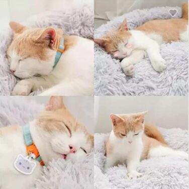 Крісло-лежанка для собак та котів, подушка-кільце, плюшеве, сіре, 50 см, знімний наповнювач