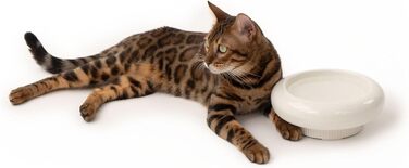 Котло propositionsний набір LucyBalu® MYCO: миска для корму та води для котів з кераміки | Пряма миска для котів | Біла миска для води та корму | Якісний котячий набір