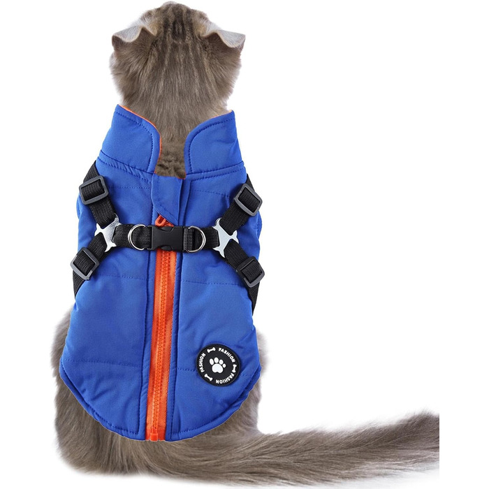 Зимова куртка для маленьких собак: тепла, вітро- та водонепроникна, двостороння куртка для собак з блискавкою, зелена (блакитна, S)