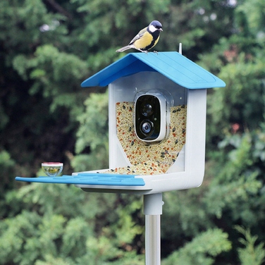RobiCam BirdNest Vision – інтелектуальна годівничка для птахів із сонячною панеллю та Full HD камерою