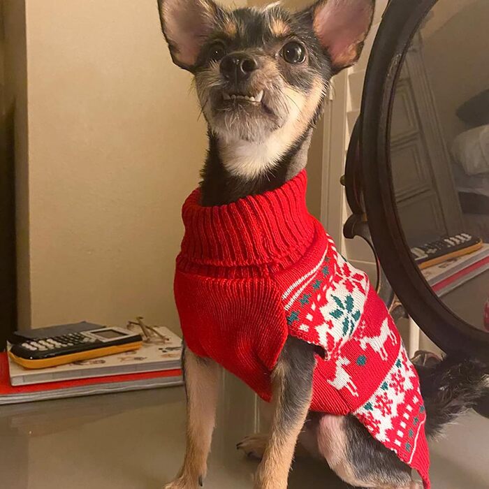 Стильний новорічний светр для собак Kyeese, теплий вовняний ромбік для маленьких цуценят, хлопчиків та дівчаток з малюнком сніжинок та оленів, зручний зимовий светр з отвором для повідка
