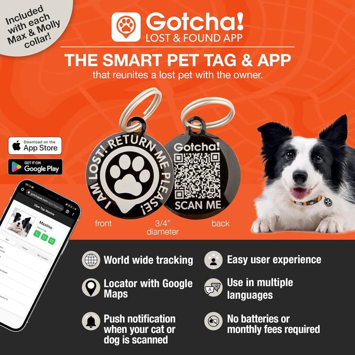 Нашийник для собак Max & Molly з надійною застібкою, веселий стиль, водонепроникний, зручний, регульований, з QR-кодом для ідентифікації тварин, ретро-рожевий, розмір M (13-21 дюймів)