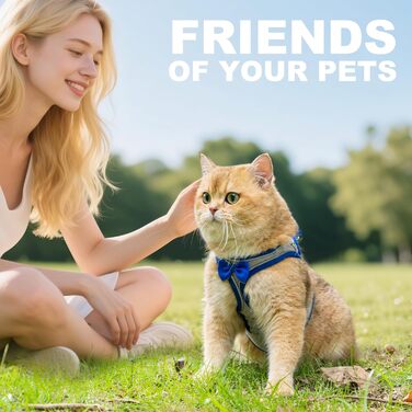 Шлейка для котів та маленьких собак, кроликів: легка, дихаюча, з м'якої сітки, чорна (S, блакитна)