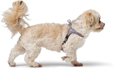 Нашийник для собак HUNTER SOHO MINI, чорний, з натуральної шкіри, м'який, для маленьких собак та цуценят, виготовлено в Німеччині, розмір XS