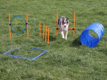 Набір для аджиліті Lemodo для малих та середніх собак | Набір для дресирування з бар'єрами, тунелем та кільцем | Початковий набір для собачого спорту