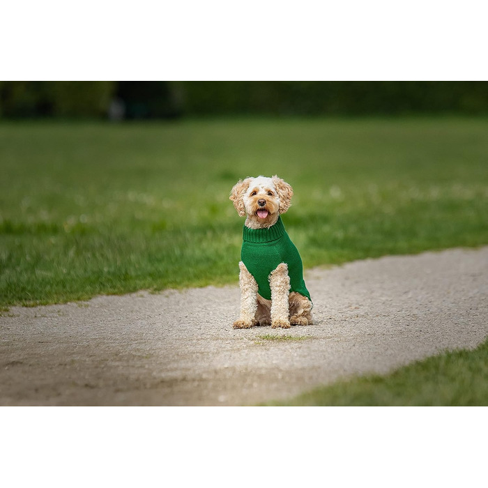 Пуловер CHIARA Ellie CHP-403GN-L, світшот, толстовка, зелений, розмір L, 100% поліестер