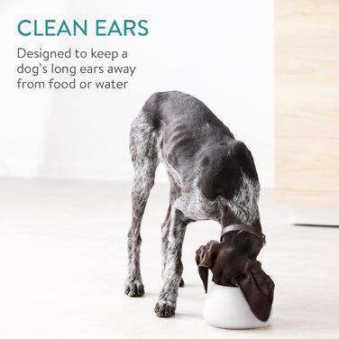 Навіс для собак Navaris Design з кераміки - велика миска для корму - миска для собак, миска для їжі - миска для кокер-спанієля та собак з довгими вухами - миска для собак з довгими вухами біло-блакитна