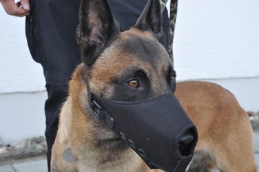 Корзина для собак COP® K9 Beisskorb Quick Release, Cordura®, чорна, розмір M