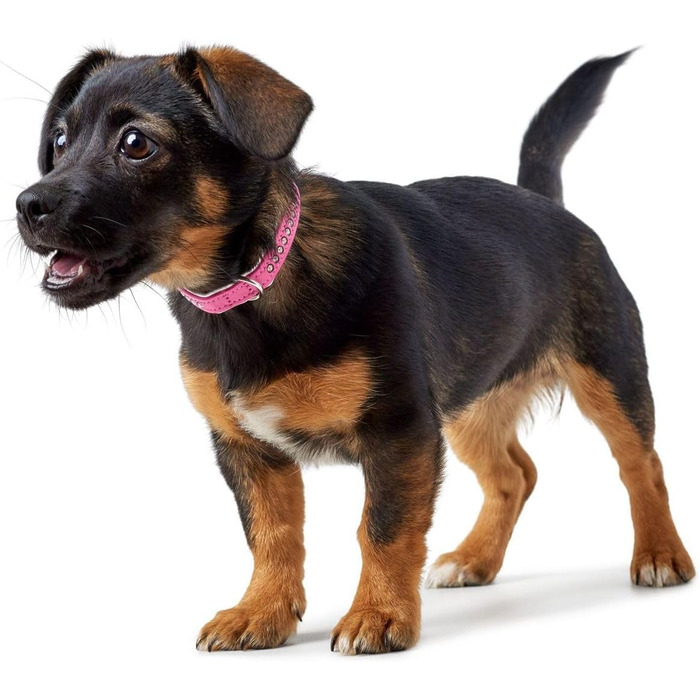 HUNTER Ошийник для собак Modern Art Luxus, рожевий, розмір 32