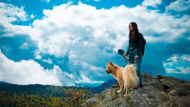 Pacific Paws Поїлка для собак Northwest - переносний диспенсер води, сталева пляшка, силіконовий миска у формі листка, 765 мл, чорний