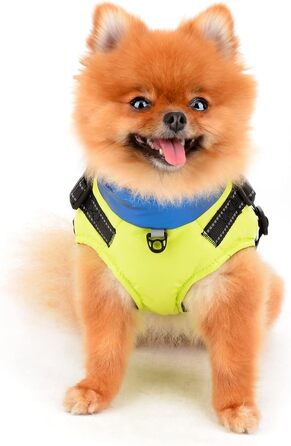 Водонепроникна зимова куртка для собак та котів SALLLEE LUCKY STORE з кільцем D, блакитна (XL)