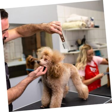 Професійна щітка для собак від підшерстка: видаляє підшерсток та ковтуни. Підходить для довгошерстих та короткошерстих порід. Ергономічна ручка з дерева. 2 шт.