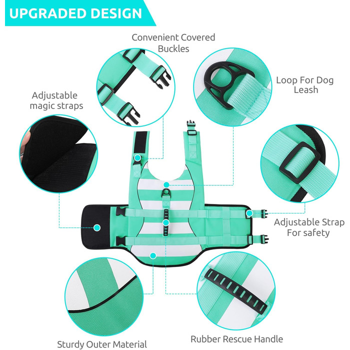 Рятувальний жилет для собак ASENKU - спортивний стиль, регульований, для дзерка, чихуахуа, французького бульдога, лабрадора (XXL, зелений)