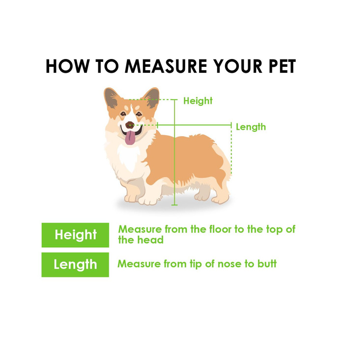 Візок для собак та котів Petique Trailblazer Jogger – блакитний, великий, з великим об'ємом для зберігання, складна конструкція, повітряні колеса, 3 повідки, віконце Peek-a-Boo