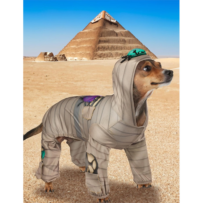 Костюм мумії для домашніх тварин Rubie's, з капюшоном, розмір XL, як на фото