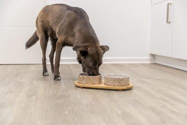 Набір мисок для собак TRIXIE, 800 мл, кераміка/бамбук - миска для корму для собак маленьких та середніх порід, діаметр 16 см, міцна та придатна для миття в посудомийній машині