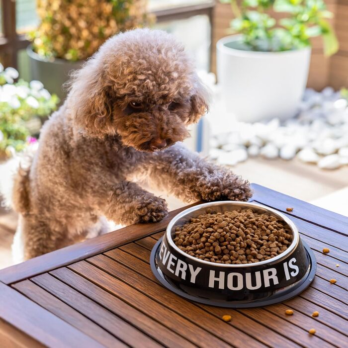 Миски для собак Fisura Dog Bar з нержавіючої сталі, рожеві та червоні, 500 мл + 1000 мл