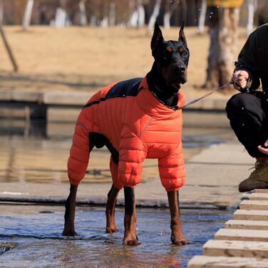Водонепроникний теплий одяг для собак: куртка, жилет, тепла сорочка для собак. Підходить для малих, середніх та великих собак. Оранжевий колір, розмір S