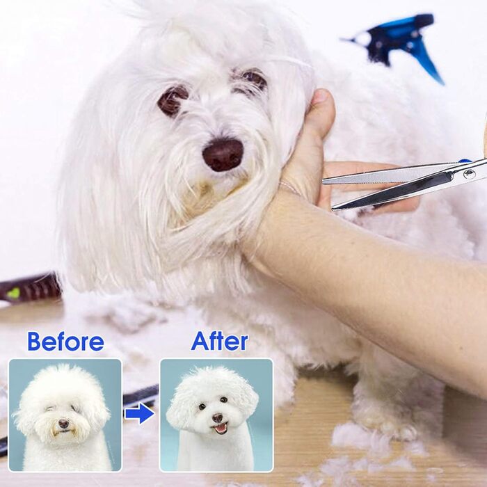 Набір професійних ножиць для грумінгу собак, титан-покриття, з ножицями для нігтів, фіолетовий