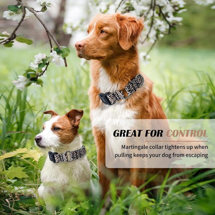 Нашийник для собак Hikiko Martingale з леопардовим принтом, великий розмір (L), міцний, витривалий
